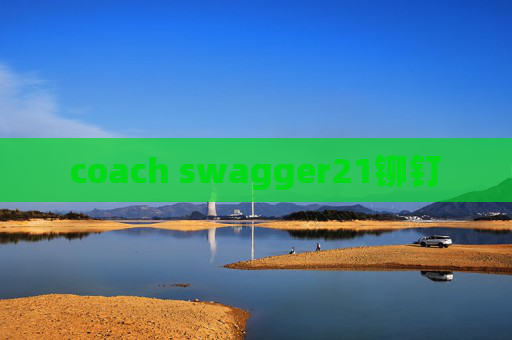 coach swagger21铆钉